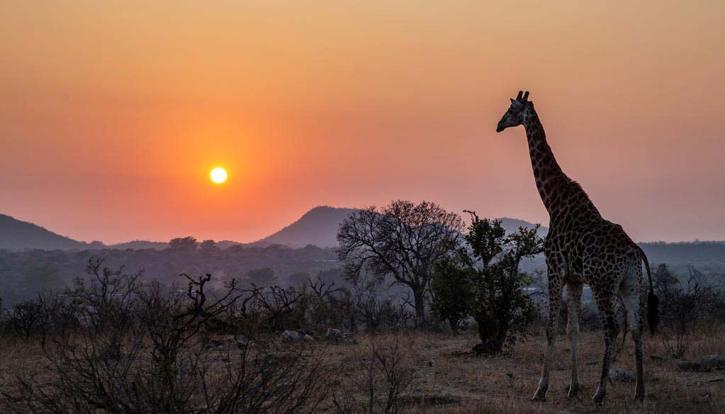 South Africa – A Journey Into The Wilderness