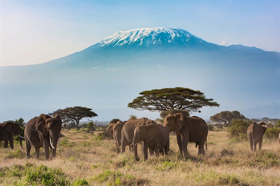 Kenya – Into The Wild Heart Of Africa